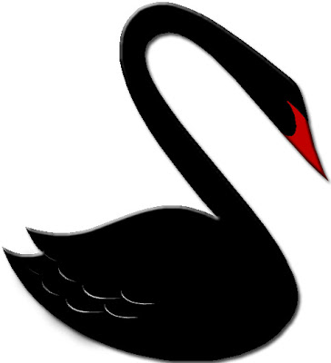 Black Swan Media Services