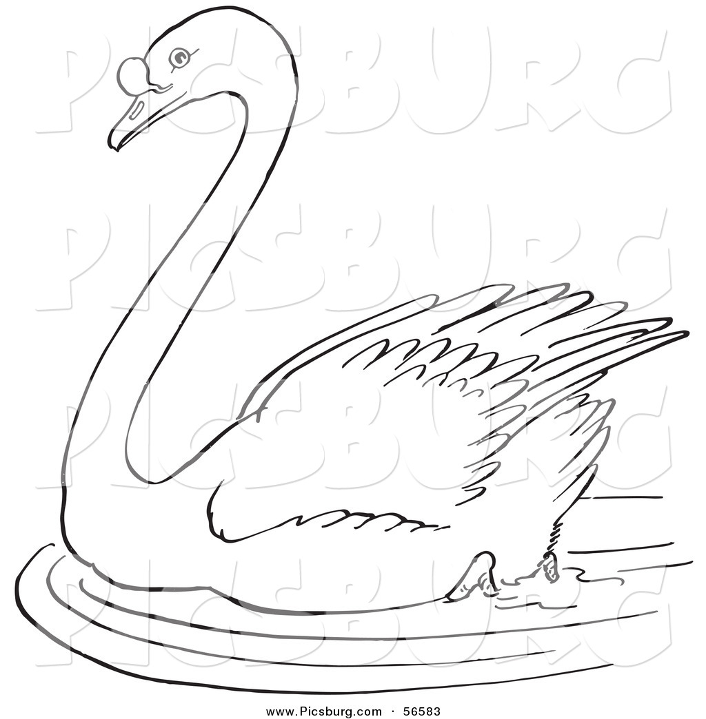 Clip Art Of A Swimming Swan In A Pond Black And White Line Art By