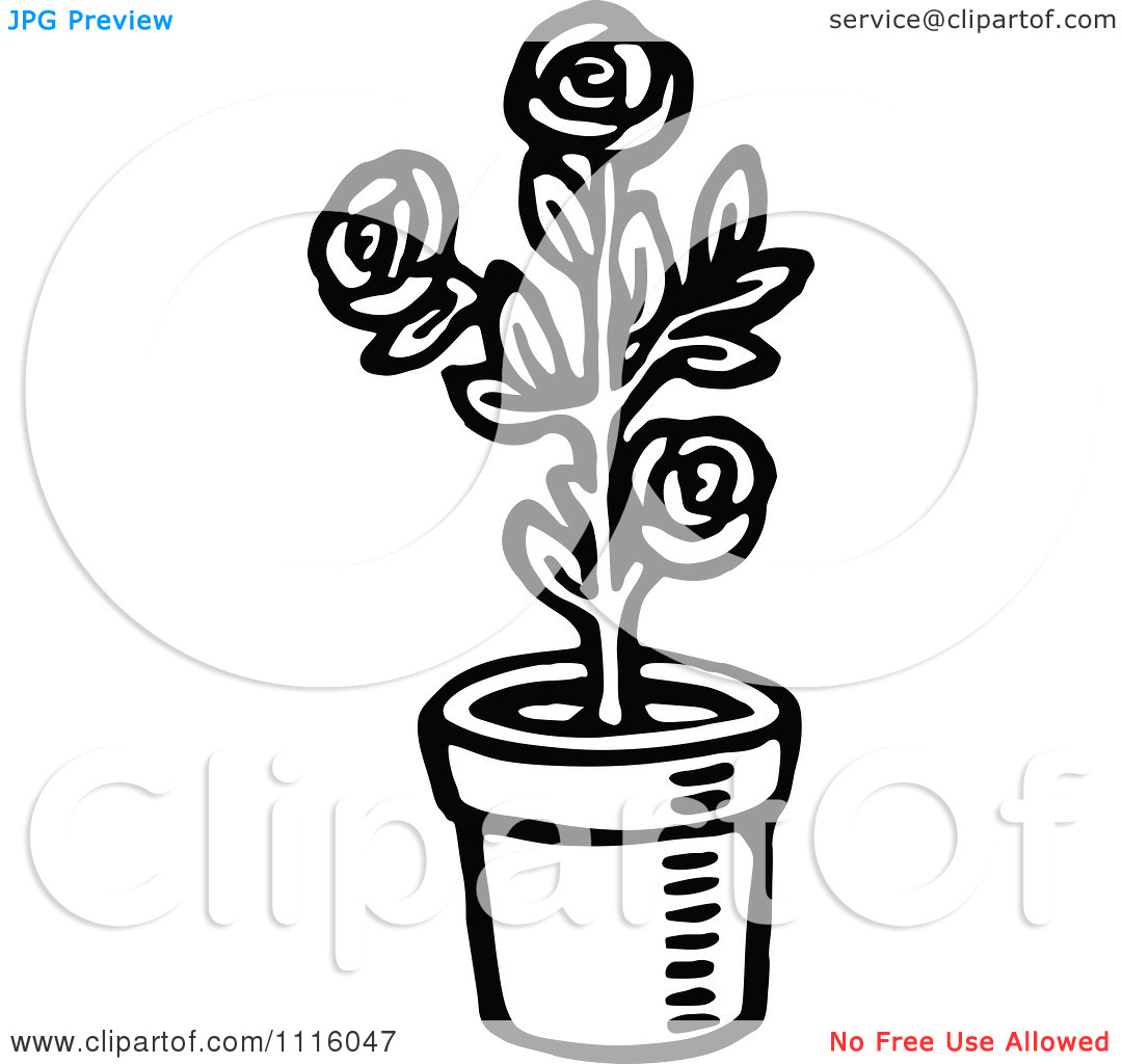 Clipart Retro Vintage Black And White Potted Rose Plant   Royalty Free