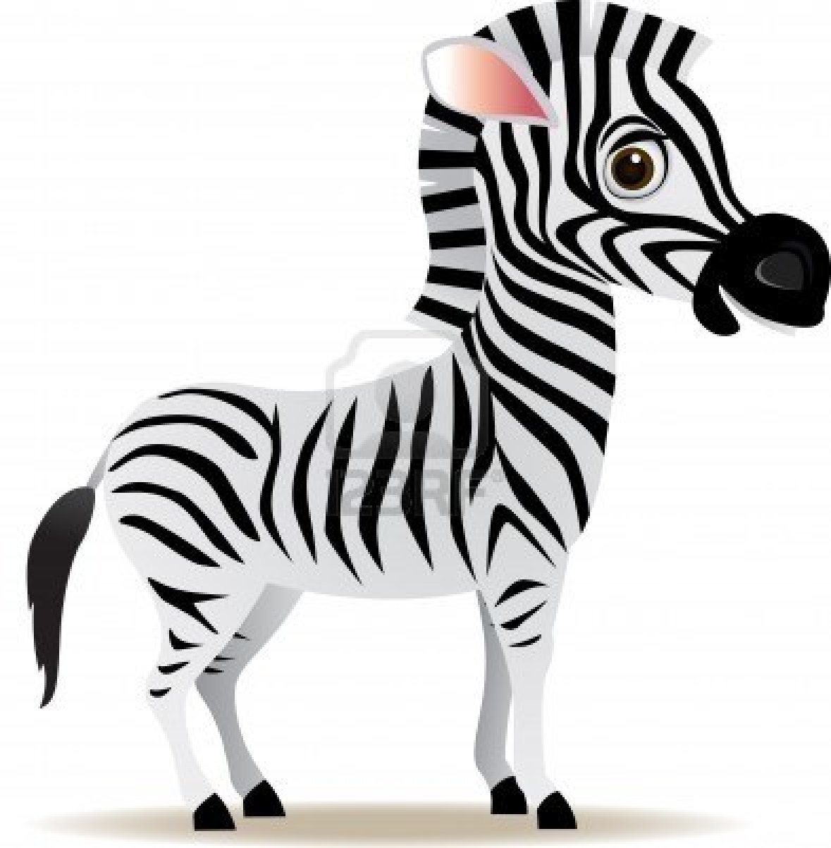 Crazy Zebras Illustrations Clipart Cartoon Zebras Zebras Crosses