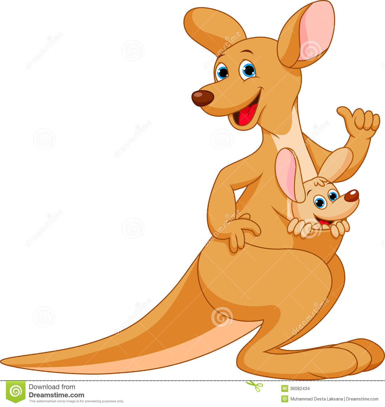 Kangaroo Cartoon Stock Images   Image  36082434