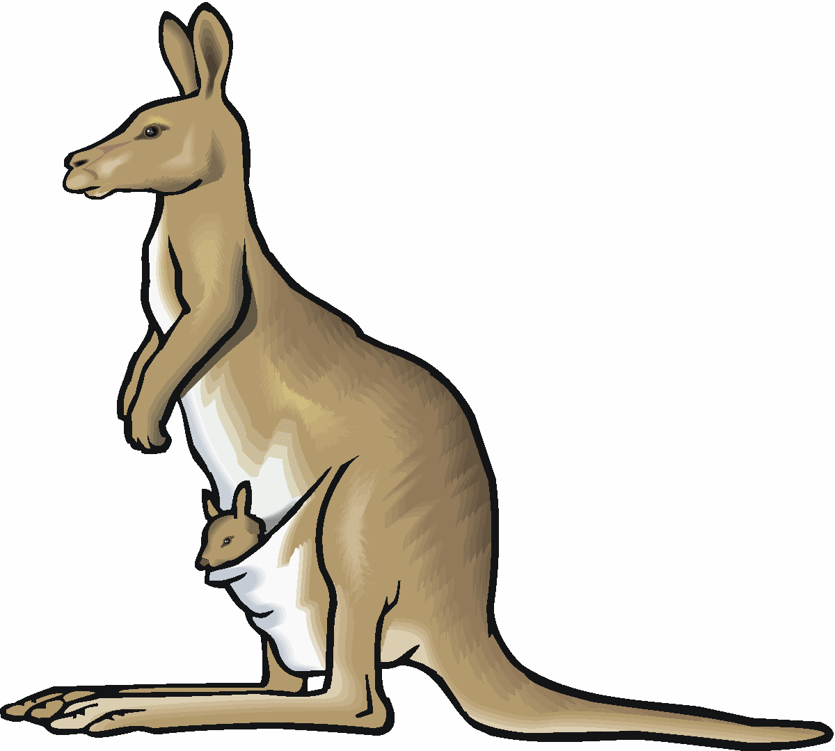 Kangaroo Clip Art Kangaroo 2 Gif