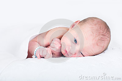 Newborn Baby On Knitted White Blanket Stock Photo   Image  41533400