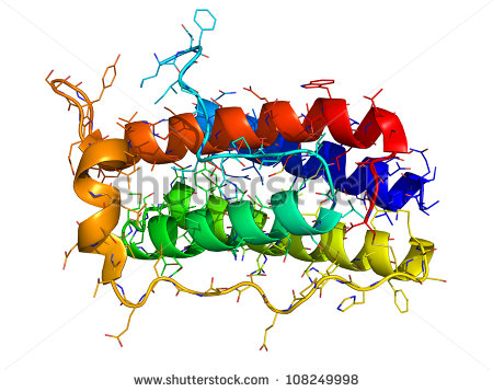 Protein Molecule Clipart 3d Molecular Structure   Stock