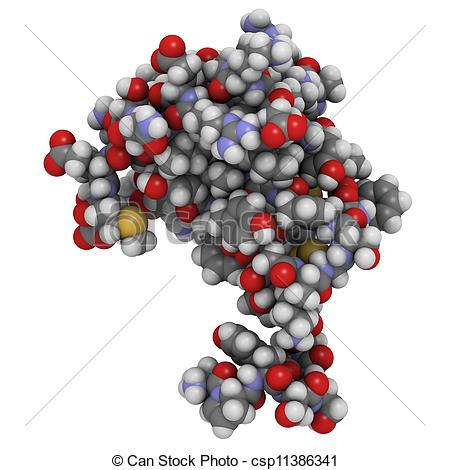 Protein Molecule Clipart