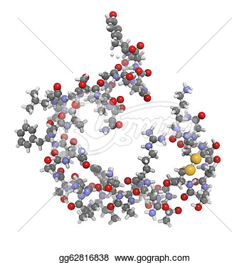 Protein Molecule Clipart Amylin  Islet Amyloid Polypeptide Iapp