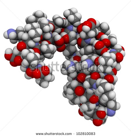 Protein Molecule Clipart Dermcidin 1l Molecule