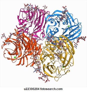 Protein Molecule Clipart Drawing   Flu Virus Surface Protein Molecule