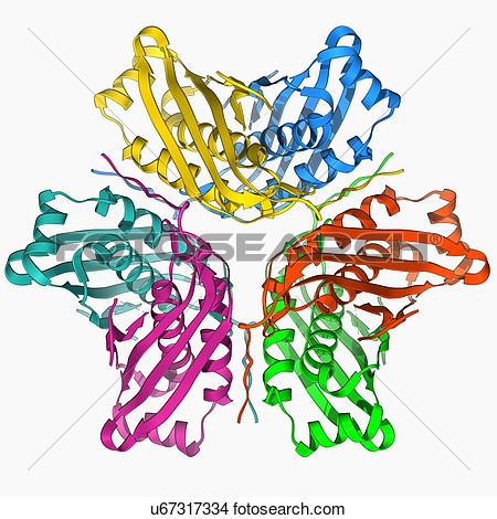 Protein Molecule Clipart Drawing   Moac Protein Molecule  Fotosearch