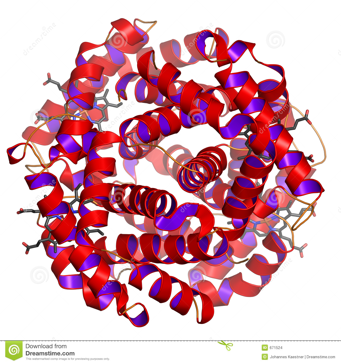 Protein Molecule Clipart Globular Protein Stock Images