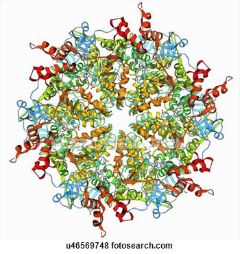 Protein Molecule Clipart Images   Pictures   Becuo