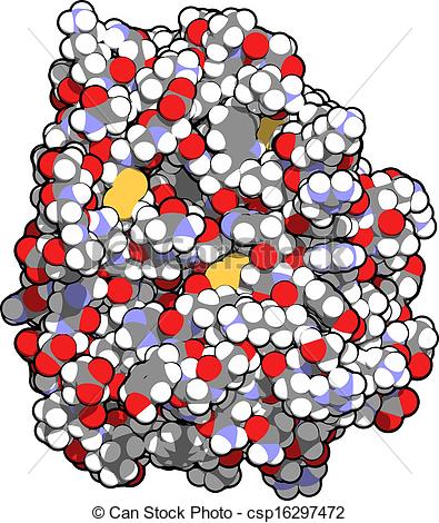 Protein Molecule Clipart Trypsin Digestive Enzyme
