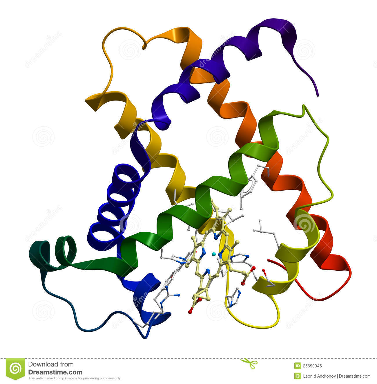 Protein Myoglobin Molecule Royalty Free Stock Photo   Image  25690945