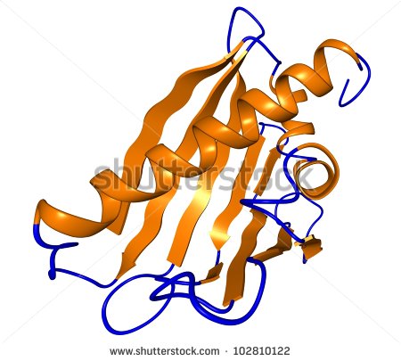 Protein Structure Clipart Allergen Protein Molecule
