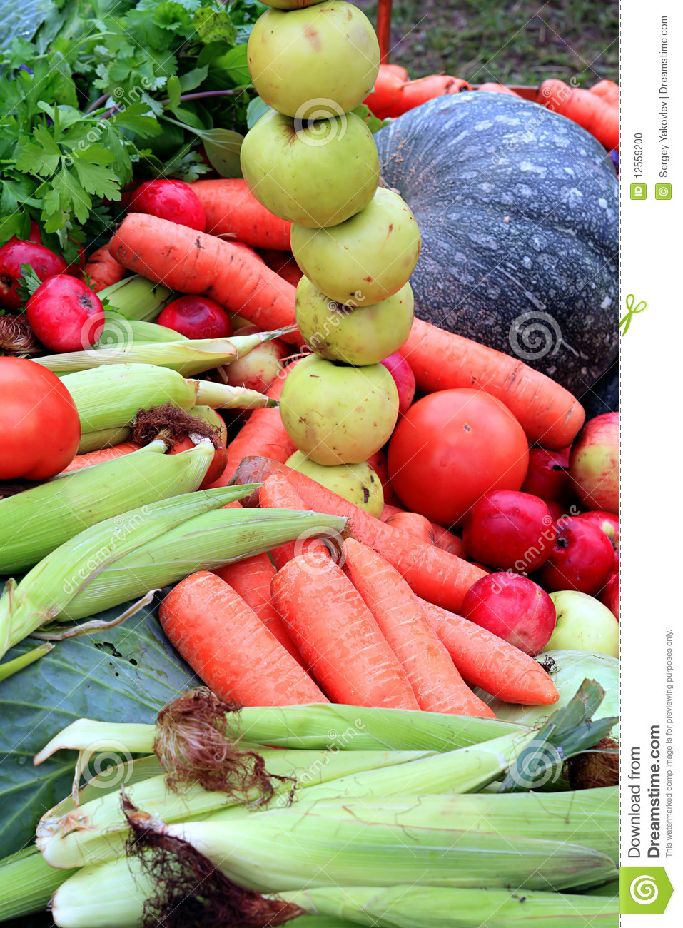 Ripe Vegetables On Rural Market 