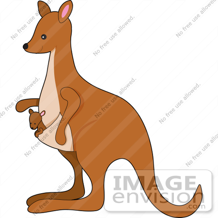 Royalty Free Wildlife Clipart Of A Mother Kangaroo Hopping Around With    