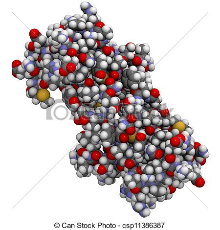 Stock Illustration Of Rantes Ccl5 Protein Molecule Chemical Structure