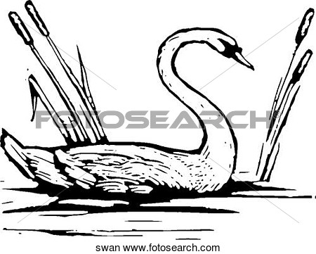 Swan Swan Art Parts Clip Art Photograph Royalty Free