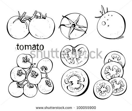 Tomato Slice Clipart Black And White   Hvgj
