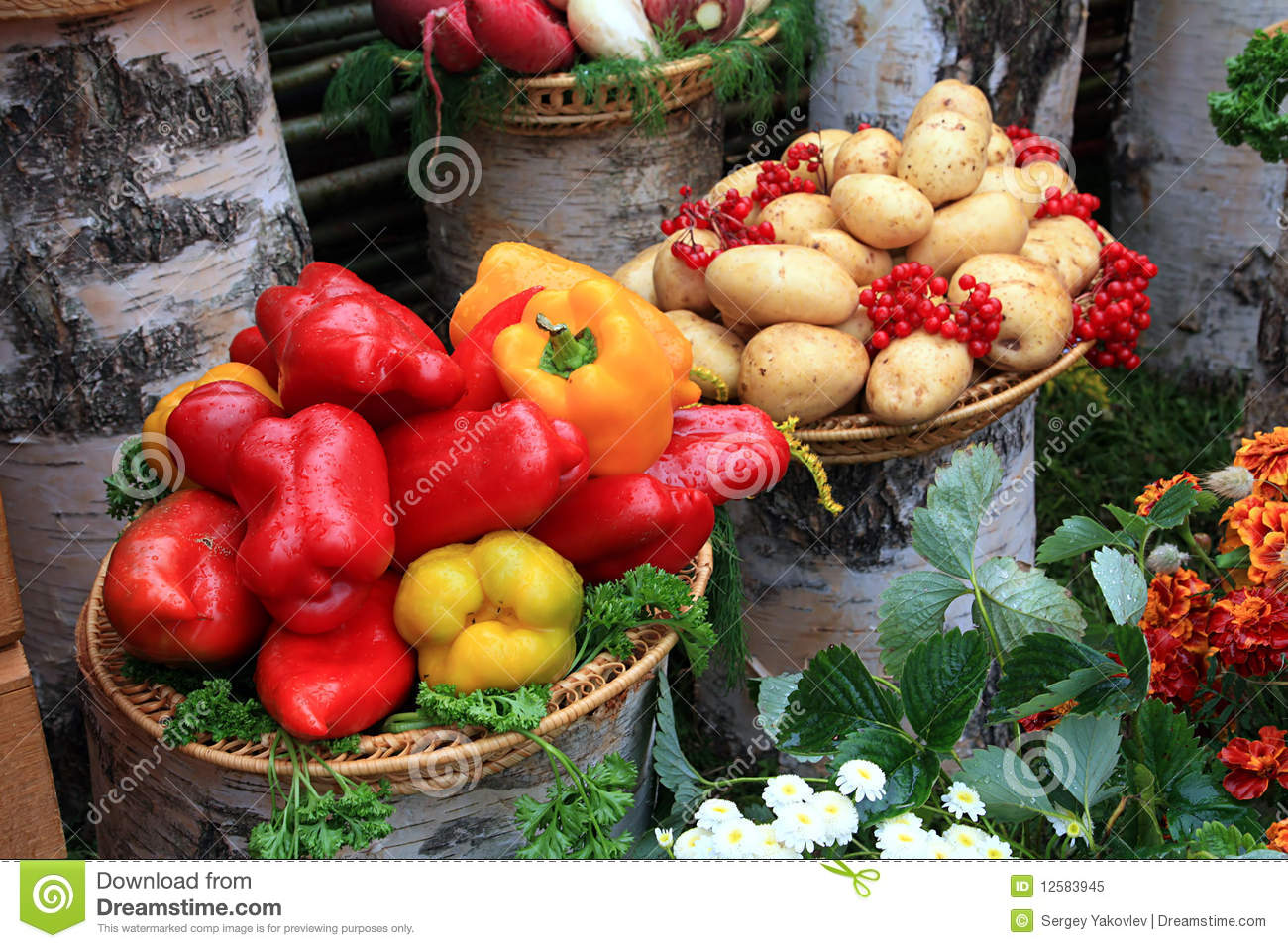 Vegetable Background Royalty Free Stock Photo   Image  12583945