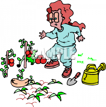 Vegetable Garden Background Clipart Clip Art Picture Of A Woman In