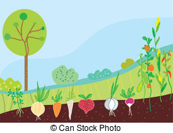Vegetable Garden Clipart Vector Graphics  8489 Vegetable Garden Eps    