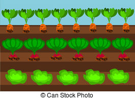 Vegetable Garden Illustrations And Stock Art  10830 Vegetable Garden