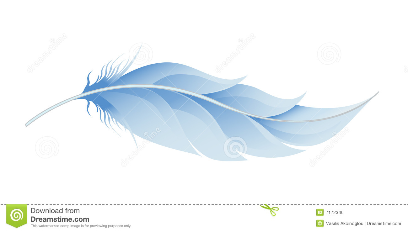 Feather Illustration Stock Photo   Image  7172340