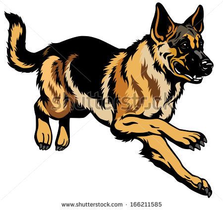 Http   Shutterstock Com G Insima   Dogs   Pinterest