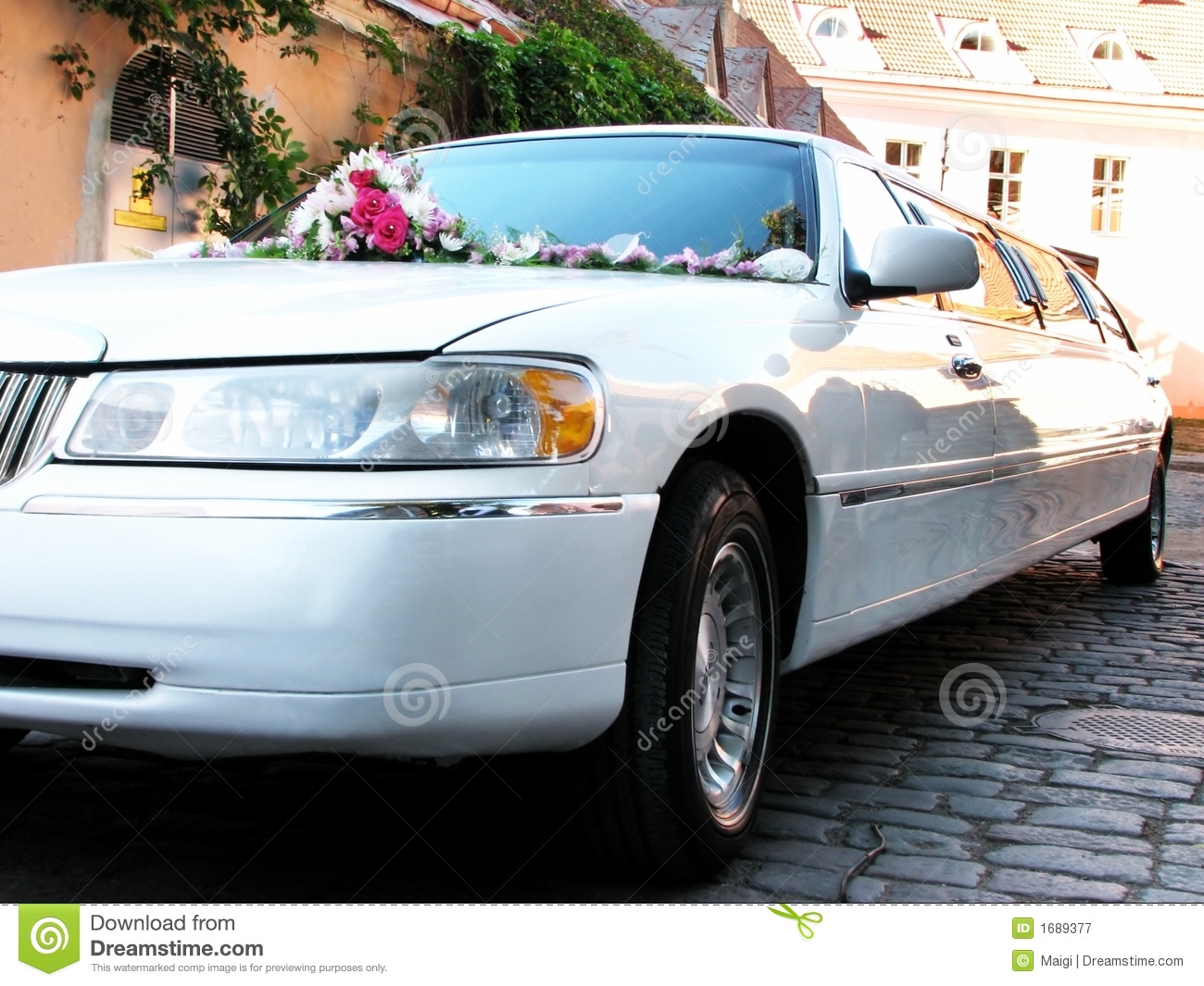 Limo Royalty Free Stock Photography   Image  1689377