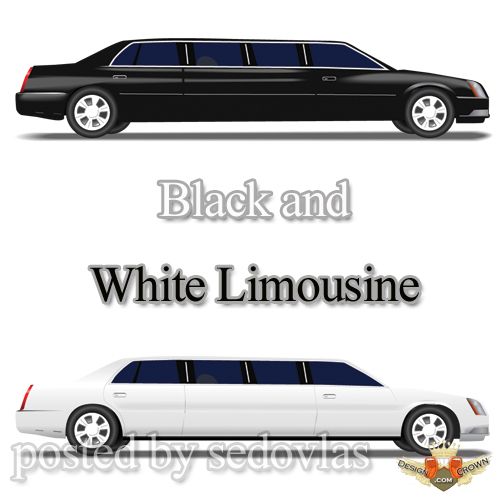Stock Vector And Raster Clipart Limousine Black And White Colors