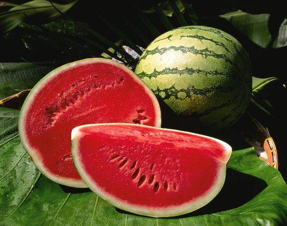 Abcd Watermelon Claire Cachedtanaka Farms Watermelon Grill Seal And    