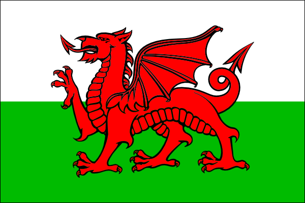 Cymru Flag  Wales  Clip Art At Clker Com   Vector Clip Art Online    