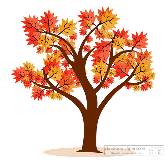 Download Maple Tree Fall Foliage 14