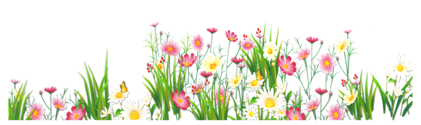 Flowers And Grass Png Picture Clipart Png