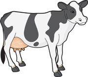 Free Farm Animals   Clip Art Pictures   Graphics   Illustrations