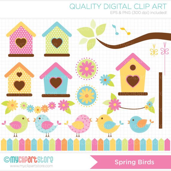 Spring Birds Clip Art   Digital Clipart Instant By Myclipartstore