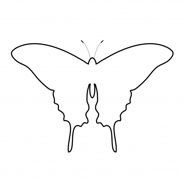 Butterfly Outline Clipart Free Stock Photo   Public Domain Pictures