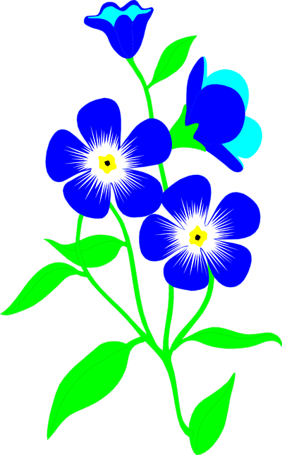 Free Stock Photos   Illustration Of Blue Forget Me Not Flowers