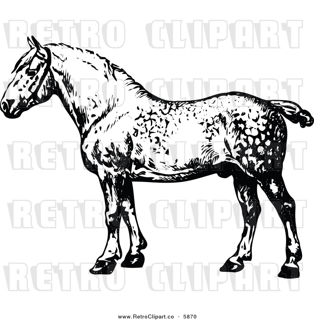 Vector Clipart Of A Retro Black And White Percheron Horse By Prawny    