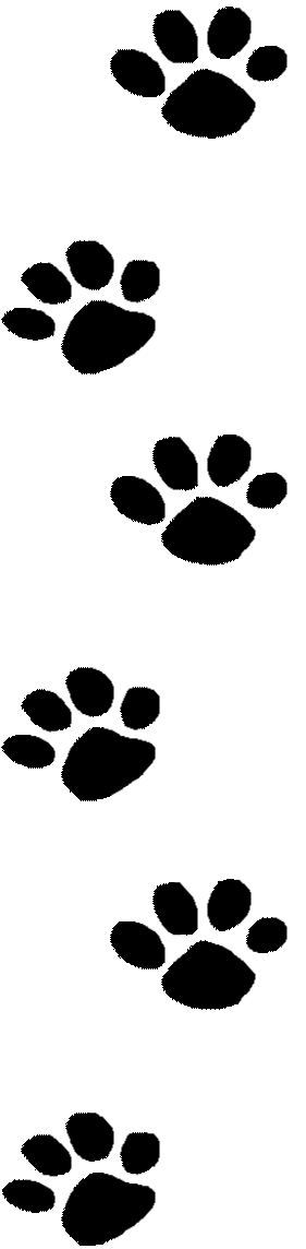 Wildcat Paw Print Image   Free Cliparts That You Can Download To You