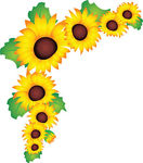 Art  981 Sunflower Seeds Illustration Graphics And Vector Eps Clip Art