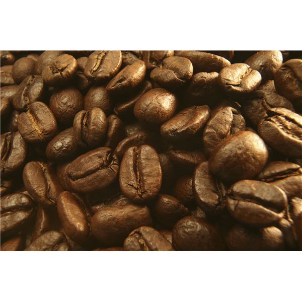 Coffee Grounds Clipart Coffee Beans