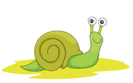 For Gastropod Pictures   Graphics   Illustrations   Clipart   Photos