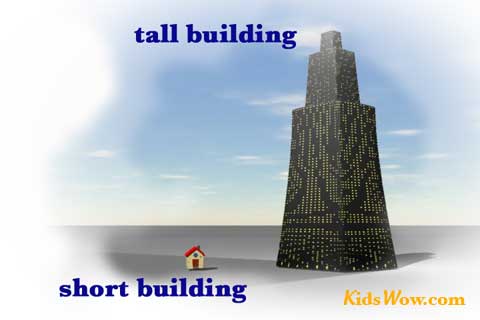 Short Vs  Tall Clipart Tall Short Building