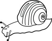 Snail Clipart 098bw Snail Clipart Hits 1805 Size 42 Kb