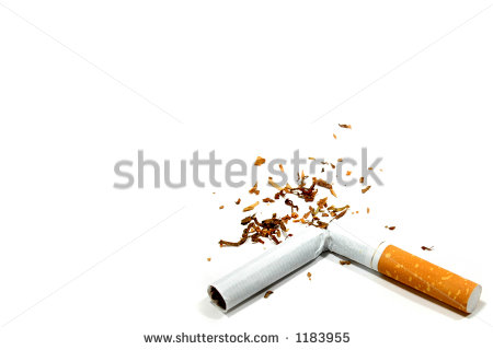 Broken Cigarette Clipart Broken Cigarette   Stock Photo