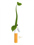 Broken Cigarette Stock Vectors Illustrations   Clipart