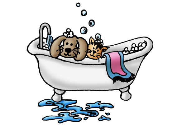 Dog Bath Animals Homepage