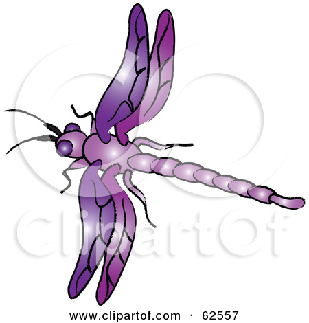 Ndens Blog  Purple Dragonfly Clipart